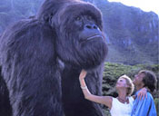 Могучий Джо Янг 1998 фильм про гориллу