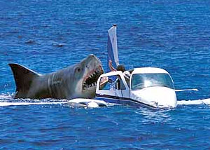 нападение акулы на каскадера